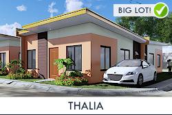 Thalia - 3BR House for Sale in Ormoc, Leyte